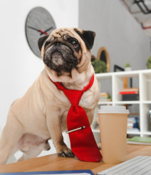 jobhub